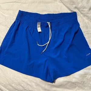 J. Crew Vibrant Blue Athletic Shorts